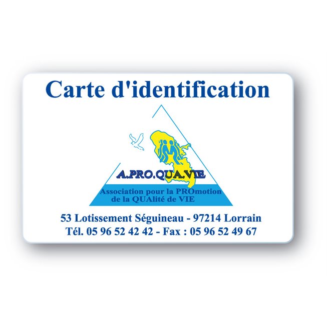 carte pvc personnalisee logo triangulaire pour une association