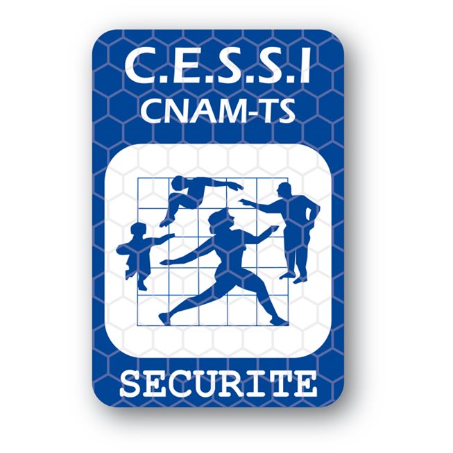 custom tamper evident security seal cnam securite en custom tamper evident security seal cnam securite en