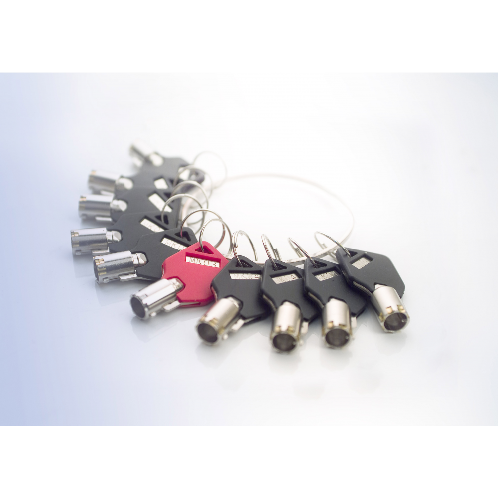 Safe-Tech® additional master key for antitheft laptop cable. safe tech® additional master key for antitheft laptop cable