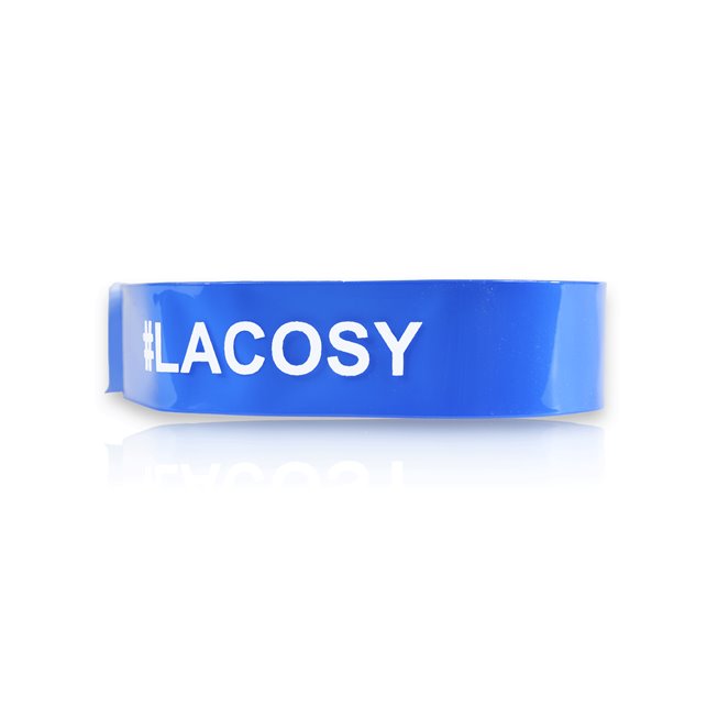customized flexible secure vinyl wristband blue color