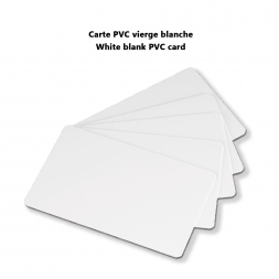 white blank pvc card visual