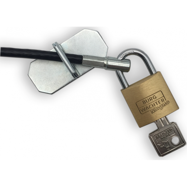 cable lock with anchor plate