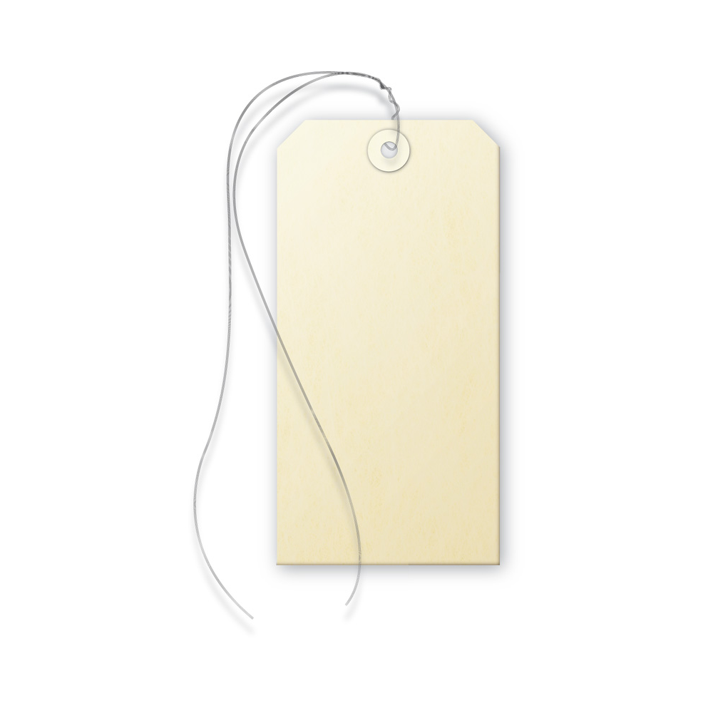 Papertag 80x38mm with wire - 1