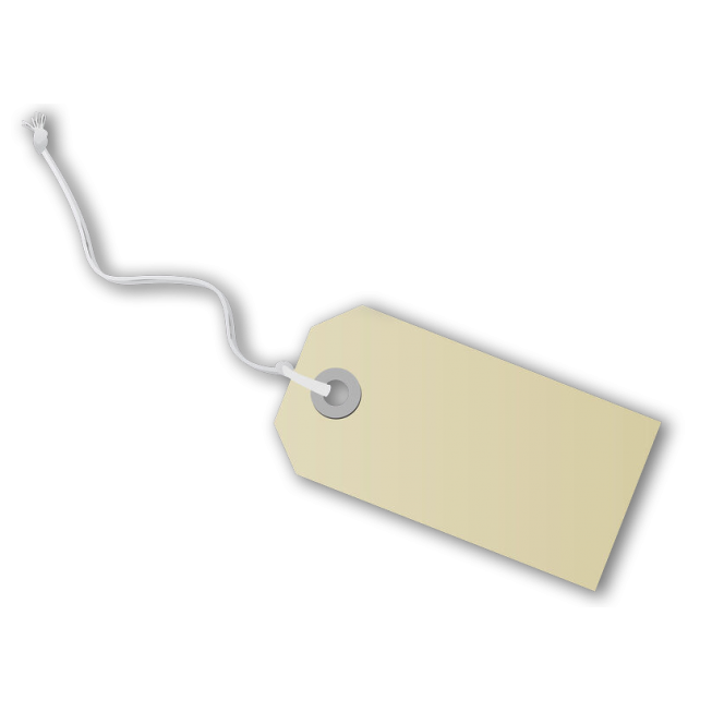 Blank Paper Tag 80x38mm with string - 1