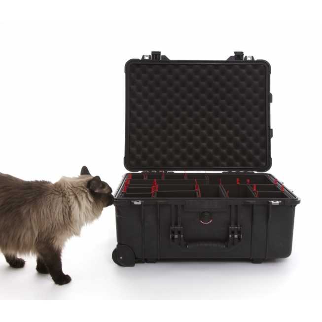 Protective case with Treckpack partition - 5