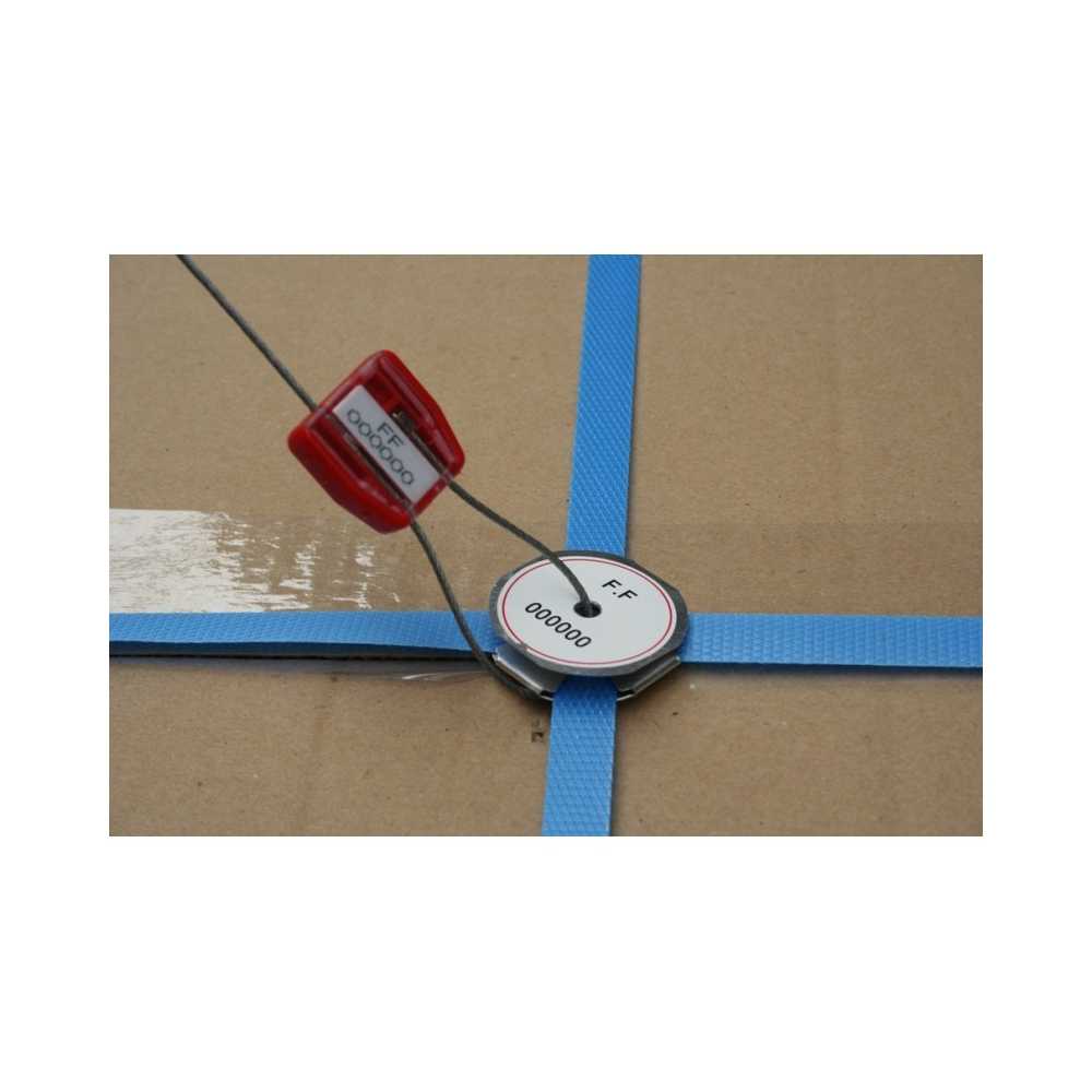 Sealed strap on package with red security seal