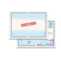 Secure certificate paper x17 - 9