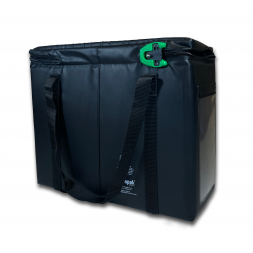 Protective padded secure carrying case 