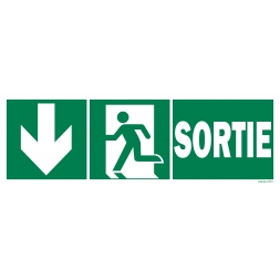 Panneau sortie + picto + flèche vers le bas recto/verso - 1
