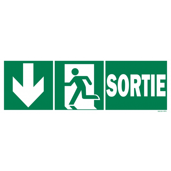 Panneau sortie + picto + flèche vers le bas recto/verso - 1