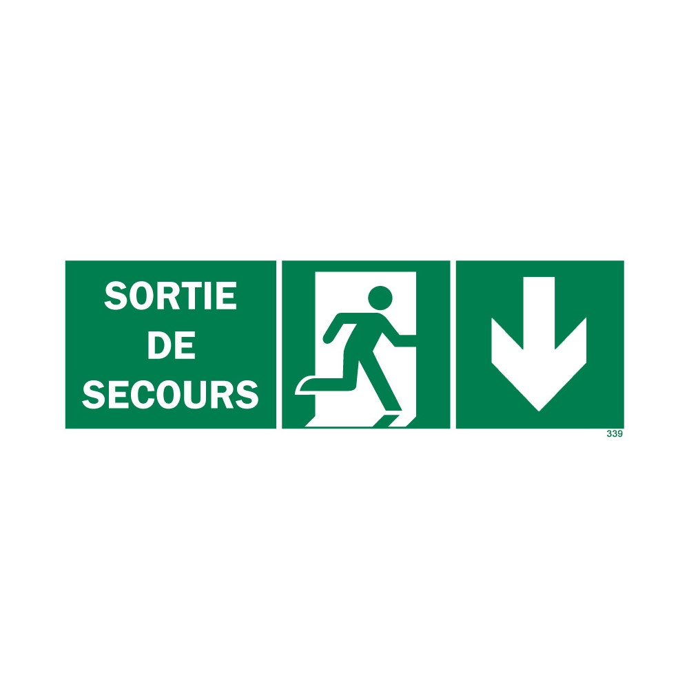 Emergency exit sign + picto + right arrow down - 1