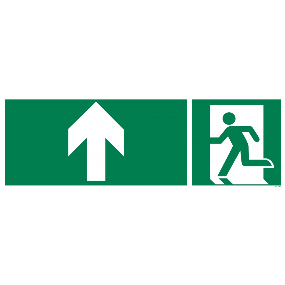 Evacuation picto sign + upward arrow on both sides - 1