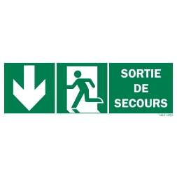 Emergency exit sign + picto + down arrow on both sides - 1