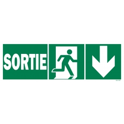 Panneau sortie  + picto + flèche droite descente - 1