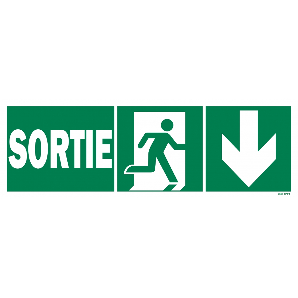 Exit sign + picto + right arrow down - 1
