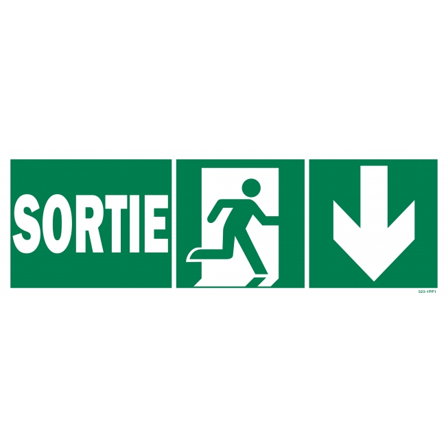 Panneau sortie  + picto + flèche droite descente - 1