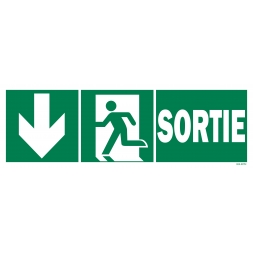 Panneau sortie + picto + flèche gauche descente - 1