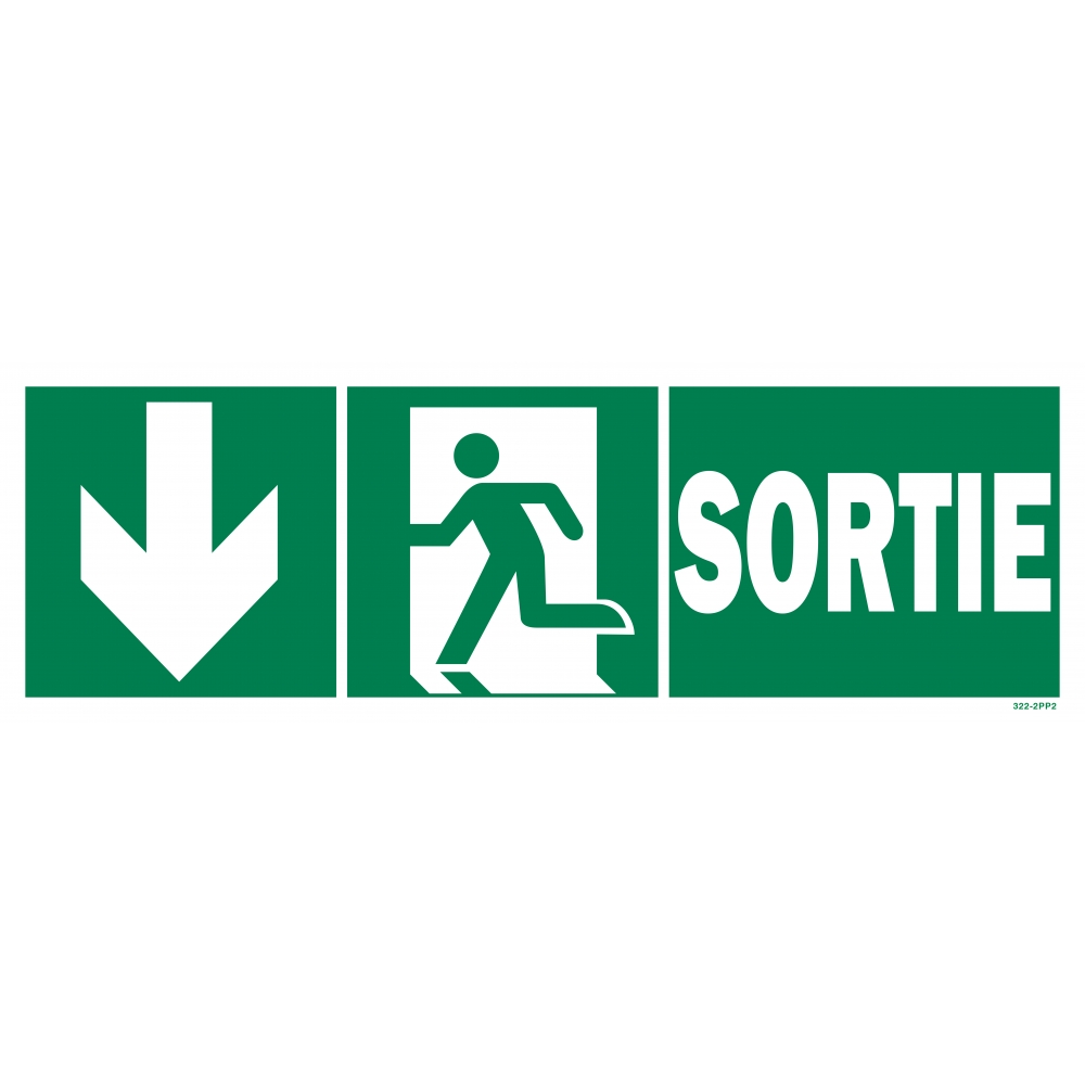 Exit sign + picto + left arrow down - 1