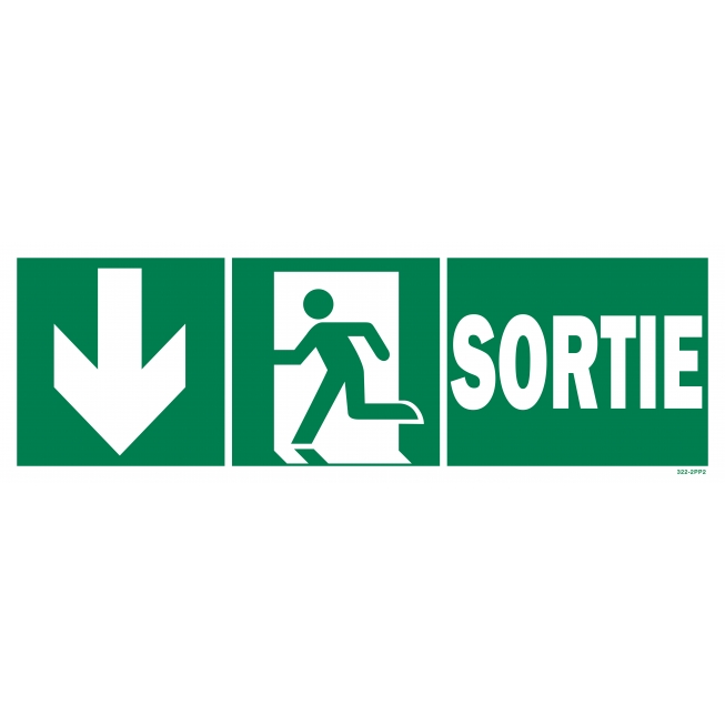 Panneau sortie + picto + flèche gauche descente - 1