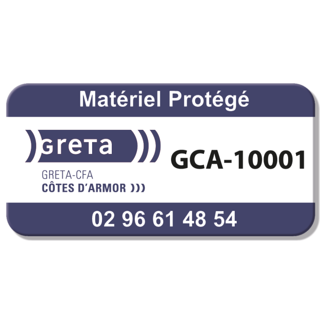 SBE Strong Tamper Proof Asset Tag, Color Print - 36