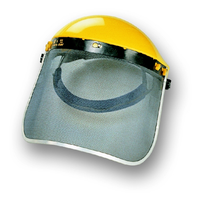 Helmet with trellis visiere - 1
