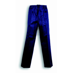Pantalon de travail en futaine bleue - 1
