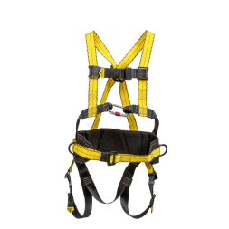 Fall arrest harness with belt - 1