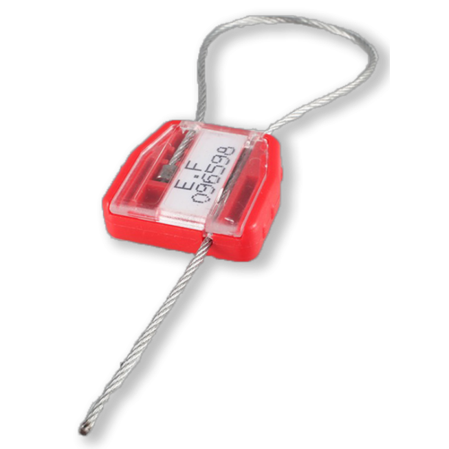 scelle flexicable 100