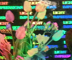 Couleurs authentiques