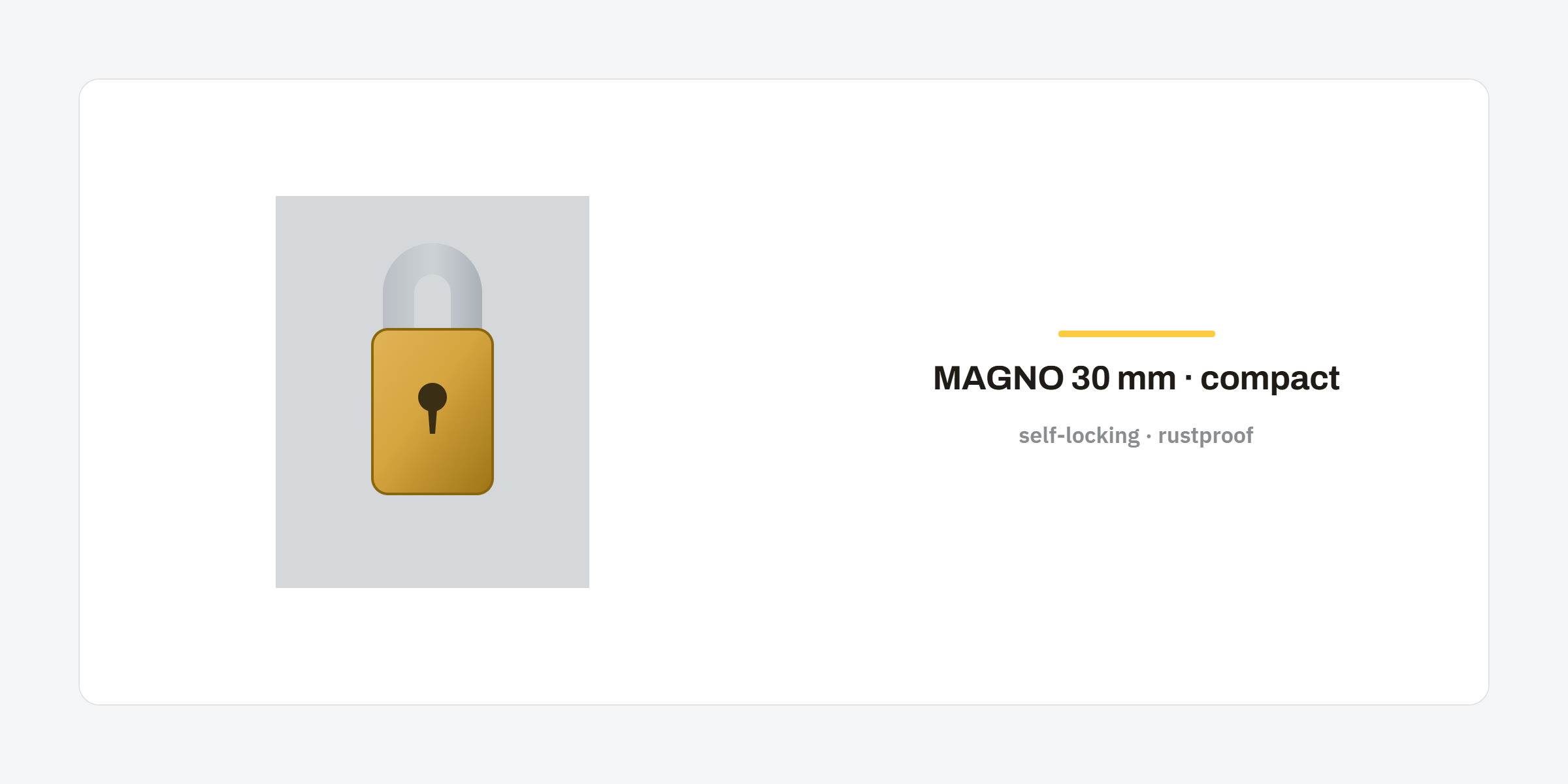 MAGNO 30 mm security padlock