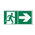 Evacuation signs (GREEN)