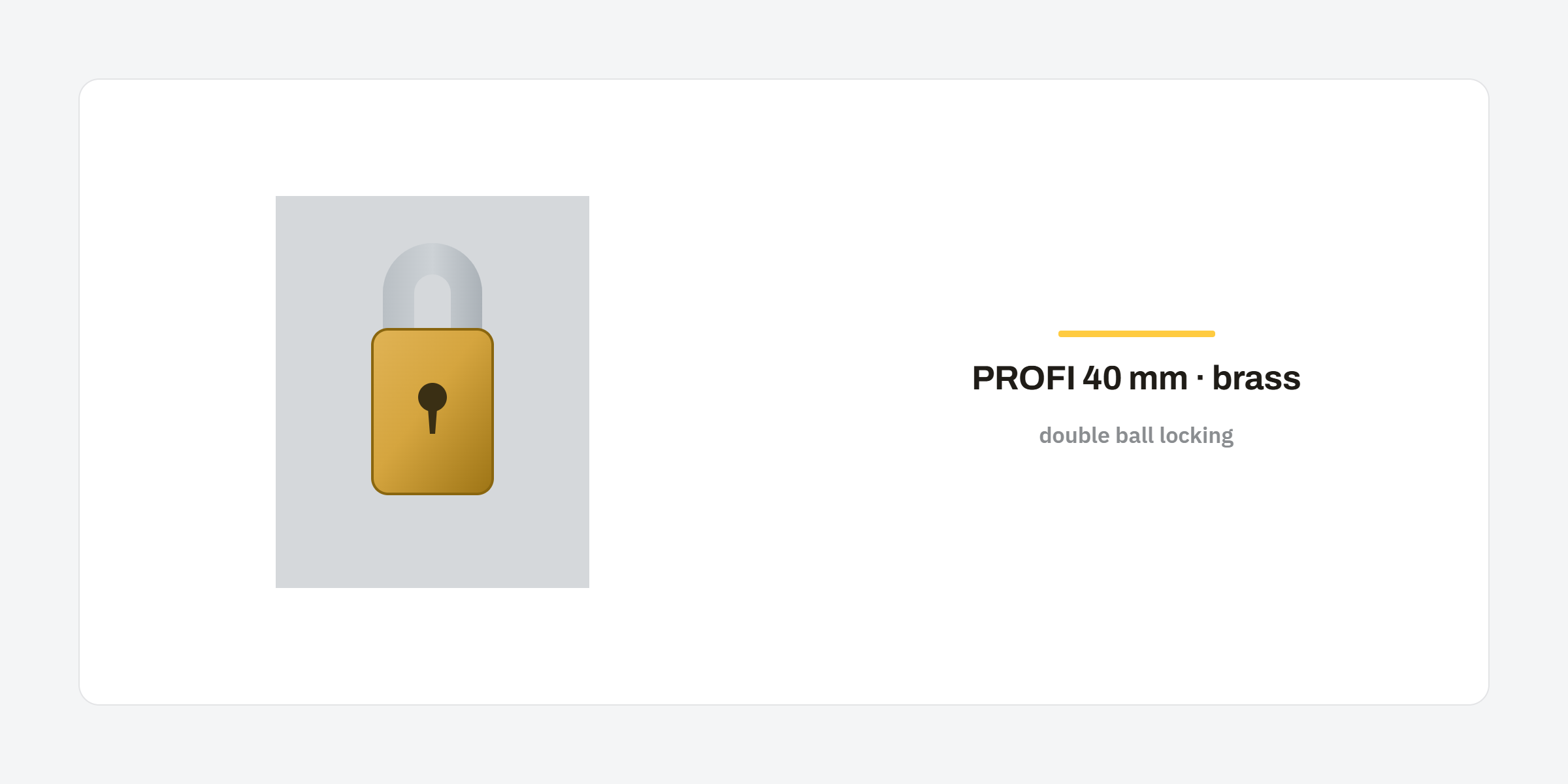 PROFI 40 mm high-security padlock