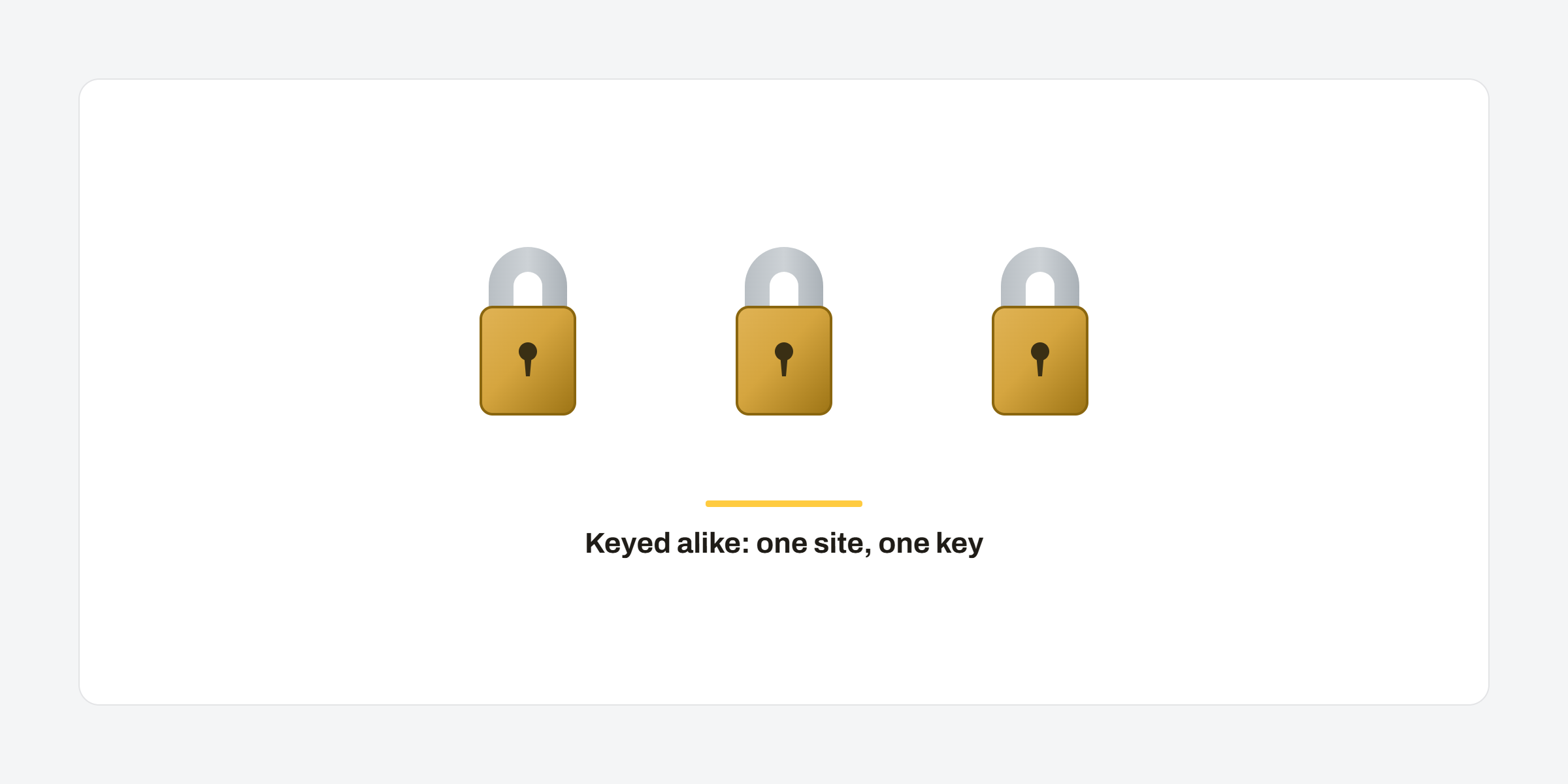 PROFI 50 mm keyed-alike padlocks
