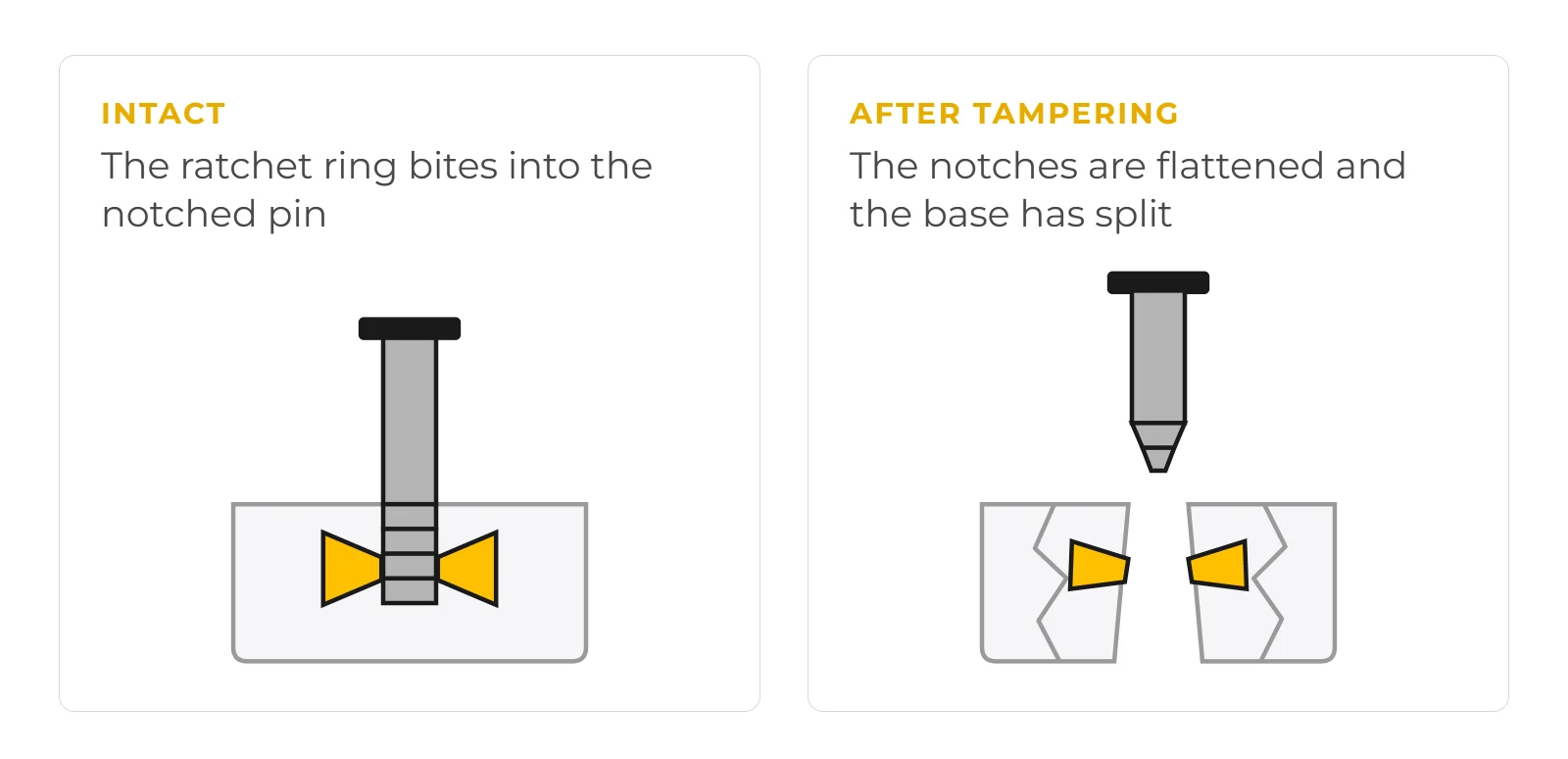 The ratchet ring bites into the notches in one direction only. Tampering flattens those notches and splits the base, and neither mark closes back up.