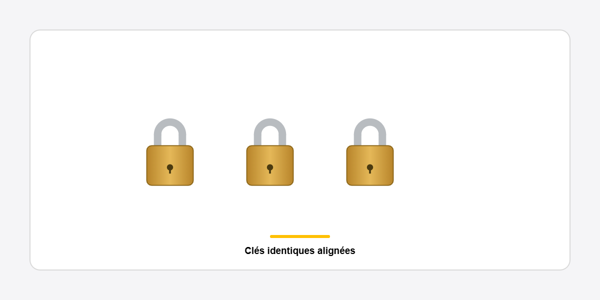 cadenas MAGNO 30 mm clés identiques