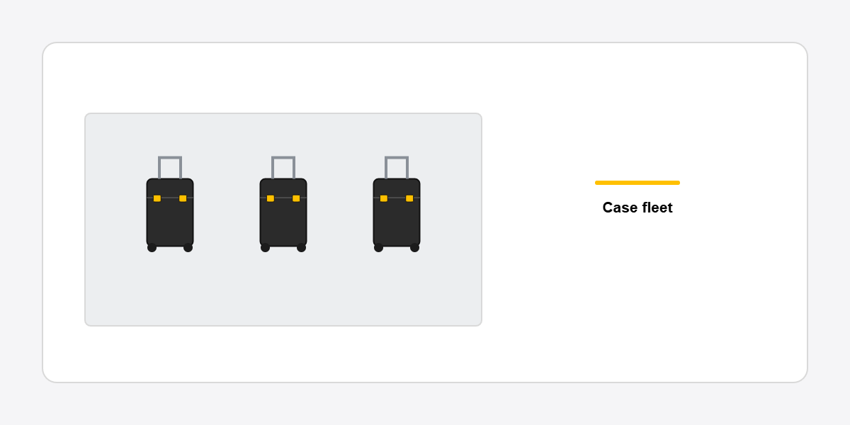 labelled case fleet